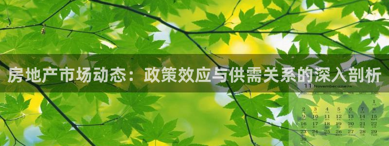 风暴娱乐银川：房地产市场动态：政策效应与供需关系的深入剖析