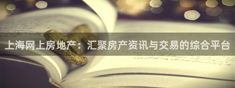 风暴娱乐：上海网上房地产：汇聚房产资讯与交易的综合平台