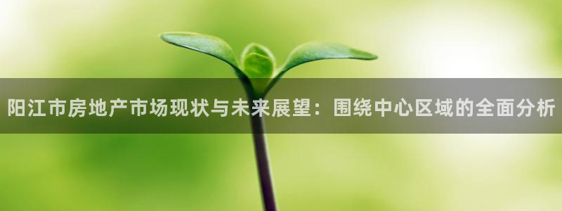 风暴娱乐：阳江市房地产市场现状与未来展望：围绕中心区域的全面