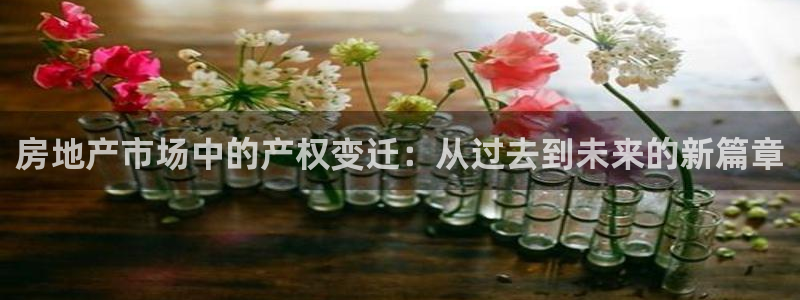菲律宾风暴娱乐集团：房地产市场中的产权变迁：从过去到未来的新