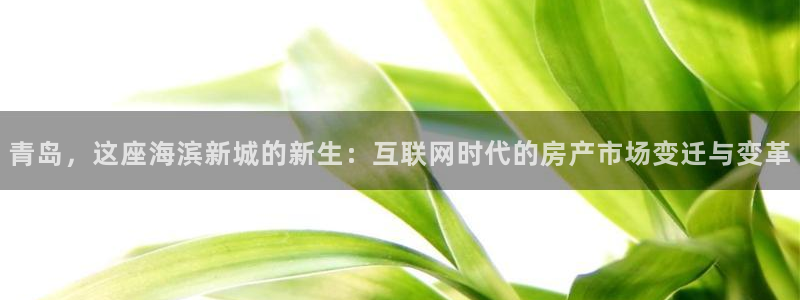 风暴娱乐有5指尖