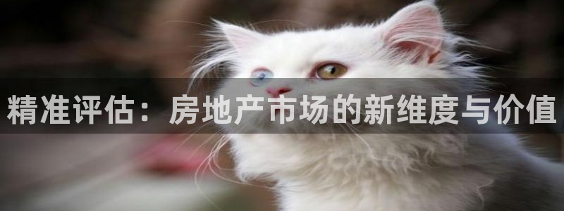风暴娱乐测速：精准评估：房地产市场的新维度与价值