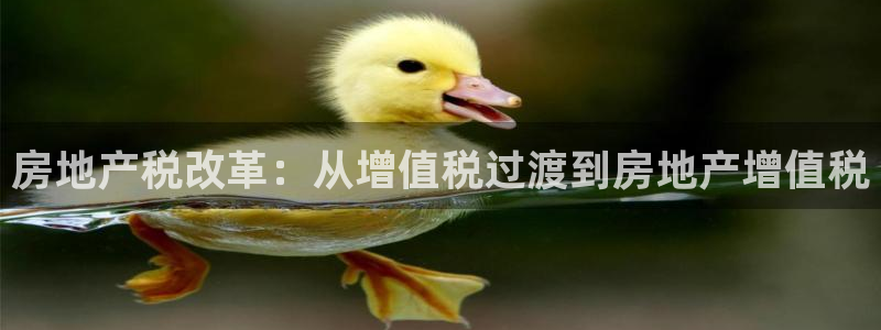风暴娱乐求333OOc