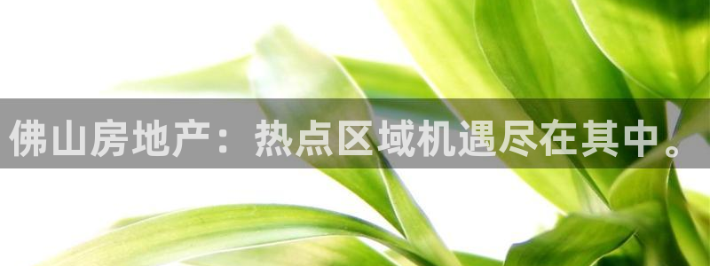 风暴娱乐汇：佛山房地产：热点区域机遇尽在其中。
