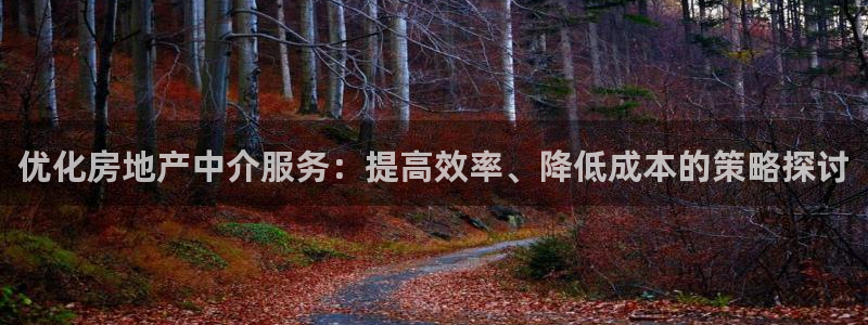 风暴娱乐园：优化房地产中介服务：提高效率、降低成本的策略探讨