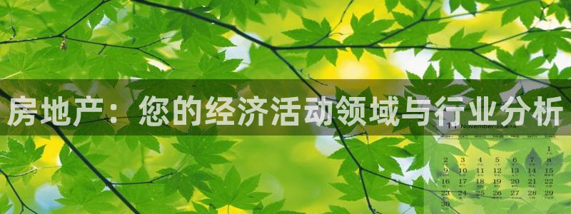风暴娱乐40996：房地产：您的经济活动领域与行业分析
