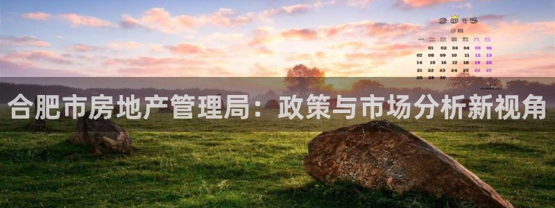 娱乐风暴App：合肥市房地产管理局：政策与市场分析新视角