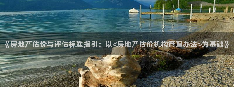 注册风暴娱乐：《房地产估价与评估标准指引：以<房地产估价机构