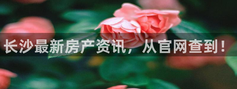 菲律宾风暴娱乐集团