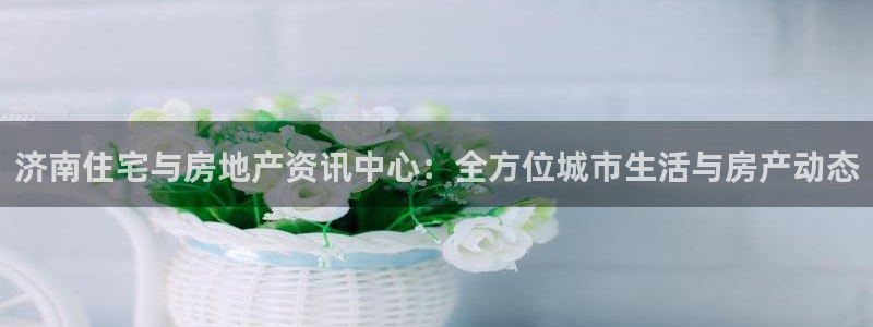 蓝色风暴娱乐：济南住宅与房地产资讯中心：全方位城市生活与房产