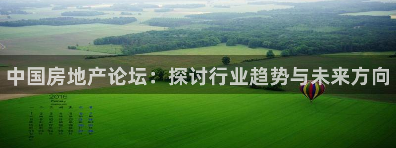 风暴娱乐左5指尖：中国房地产论坛：探讨行业趋势与未来方向