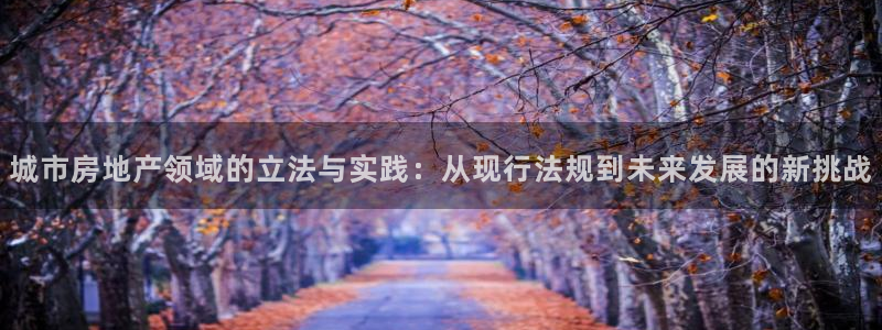 风暴新娱乐：城市房地产领域的立法与实践：从现行法规到未来发展