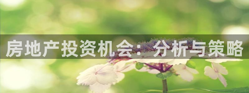 风暴娱乐厅：房地产投资机会：分析与策略