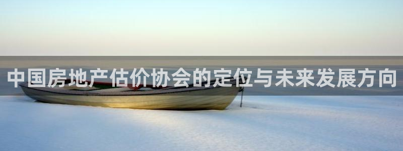 风暴娱乐登录网址：中国房地产估价协会的定位与未来发展方向
