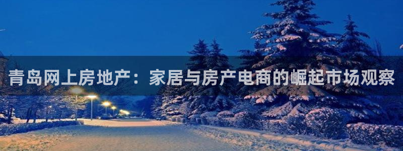 娱乐风暴合集：青岛网上房地产：家居与房产电商的崛起市场观察
