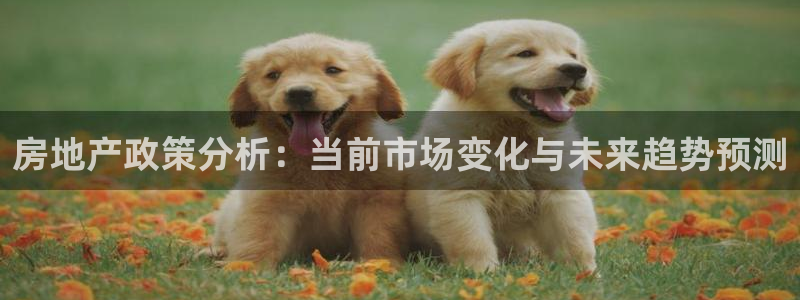 风暴娱乐登录网址：房地产政策分析：当前市场变化与未来趋势预测