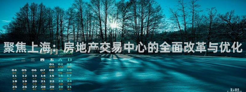 风暴娱乐客服：聚焦上海：房地产交易中心的全面改革与优化