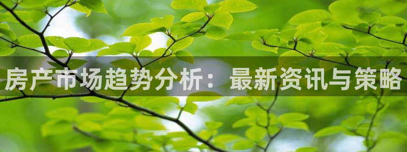 风暴娱乐网：房产市场趋势分析：最新资讯与策略