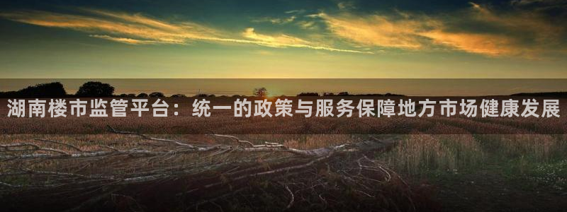 菲律宾风暴娱乐集团：湖南楼市监管平台：统一的政策与服务保障地