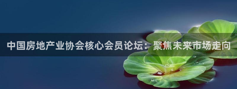 风暴娱乐这个平台靠谱：中国房地产业协会核心会员论坛：聚焦未来