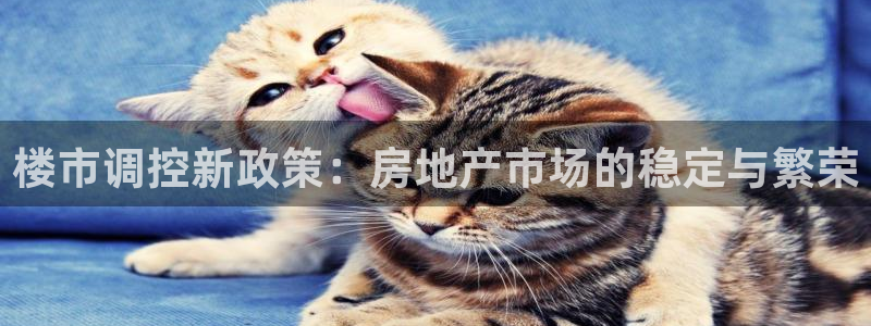 风暴娱乐5O6917：楼市调控新政策：房地产市场的稳定与繁荣