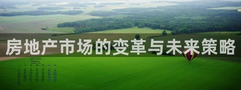 风暴娱乐点：房地产市场的变革与未来策略