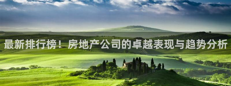 风暴娱乐1980：最新排行榜！房地产公司的卓越表现与趋势分析