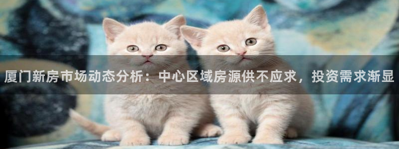 风暴娱乐这个平台靠谱：厦门新房市场动态分析：中心区域房源供不