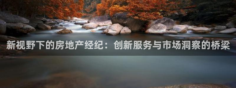 光风暴娱乐：新视野下的房地产经纪：创新服务与市场洞察的桥梁