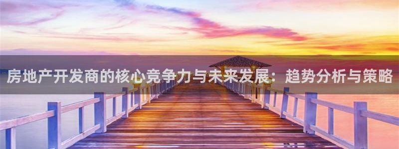 风暴娱乐：房地产开发商的核心竞争力与未来发展：趋势分析与策略