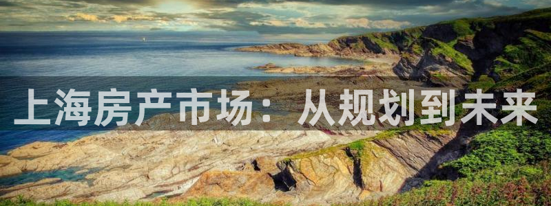 风暴娱乐平台地址：上海房产市场：从规划到未来