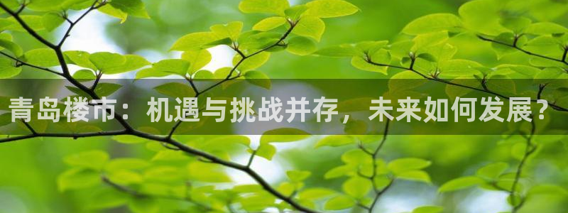 风暴眼娱乐：青岛楼市：机遇与挑战并存，未来如何发展？