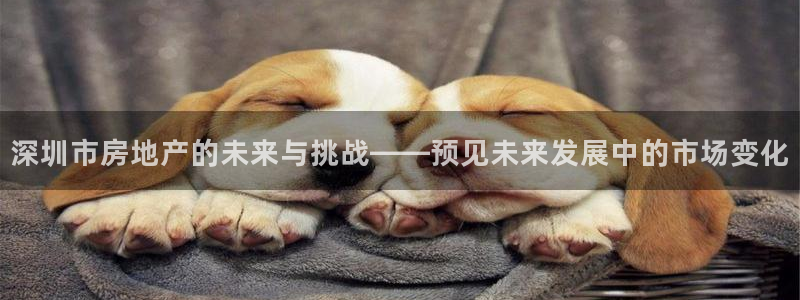 风暴娱乐1：深圳市房地产的未来与挑战——预见未来发展中的市场