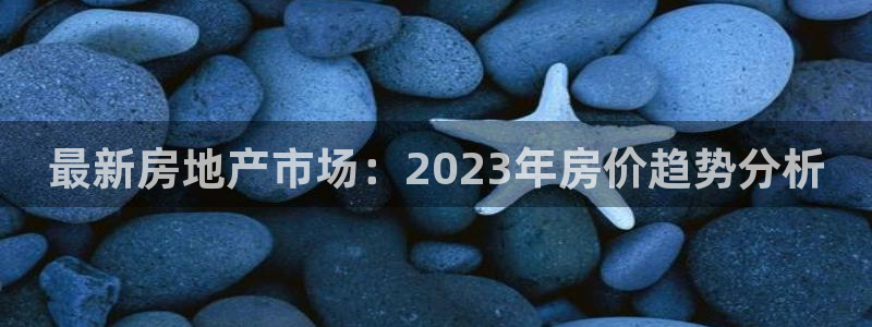 风暴娱乐乃六七五一38：最新房地产市场：2023年房价趋势分