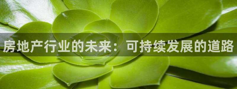 风暴娱乐部：房地产行业的未来：可持续发展的道路