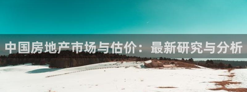 风暴娱乐官方网站：中国房地产市场与估价：最新研究与分析