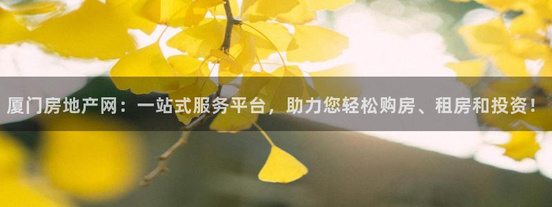 光风暴娱乐：厦门房地产网：一站式服务平台，助力您轻松购房、租