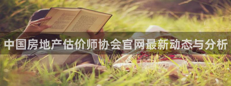 风暴娱乐求333OOc：中国房地产估价师协会官网最新动态与分