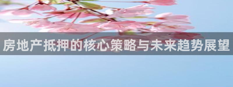 风暴娱乐部：房地产抵押的核心策略与未来趋势展望