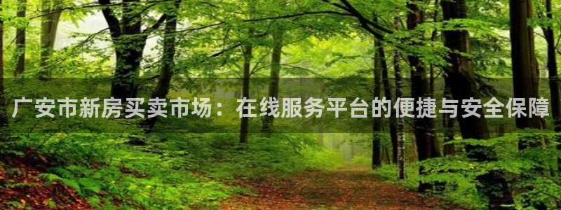 娱乐风暴2：广安市新房买卖市场：在线服务平台的便捷与安全保障