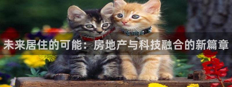 风暴大厅娱乐：未来居住的可能：房地产与科技融合的新篇章