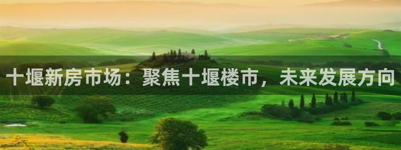 风暴娱乐主管是谁：十堰新房市场：聚焦十堰楼市，未来发展方向