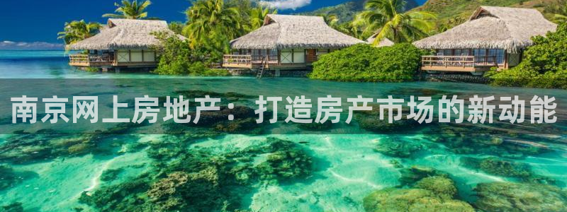 风暴娱乐部