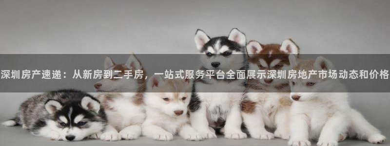 风暴娱乐主管是谁：深圳房产速递：从新房到二手房，一站式服务平