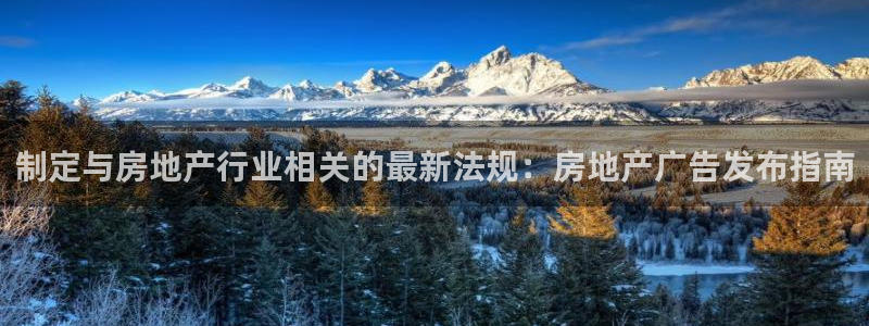娱乐风暴开头：制定与房地产行业相关的最新法规：房地产广告发布