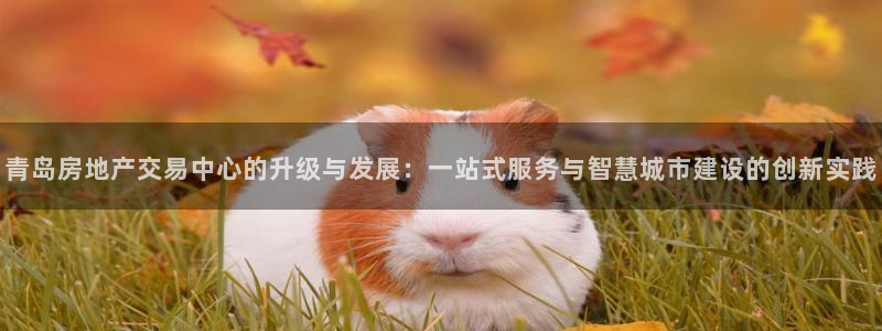 菲律宾风暴娱乐集团：青岛房地产交易中心的升级与发展：一站式服