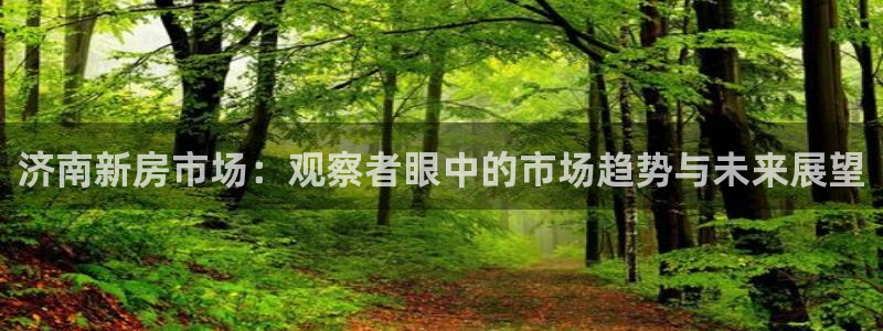 风暴娱乐棋牌：济南新房市场：观察者眼中的市场趋势与未来展望
