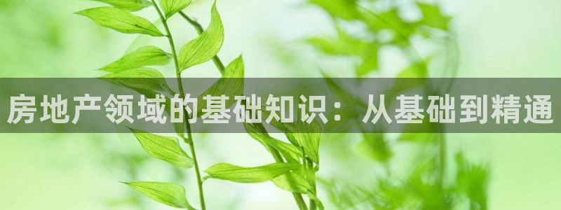 娱乐风暴2：房地产领域的基础知识：从基础到精通