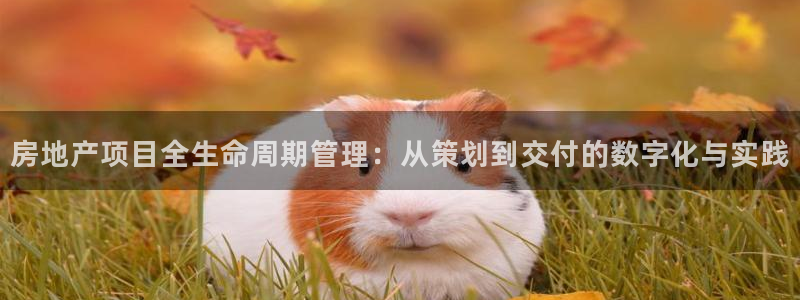 风暴娱乐园：房地产项目全生命周期管理：从策划到交付的数字化与