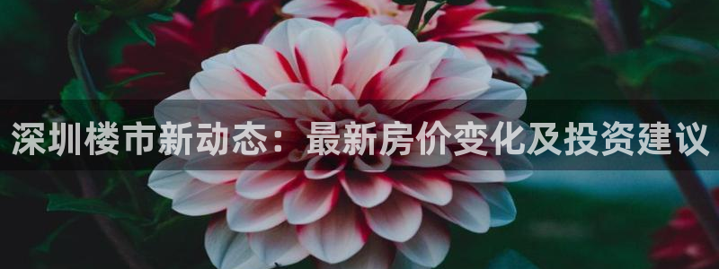 风暴娱乐提现：深圳楼市新动态：最新房价变化及投资建议